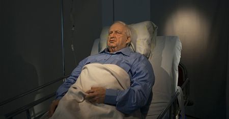 Rzeźba Ariela Szarona