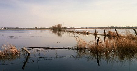 Podlaskie lato
