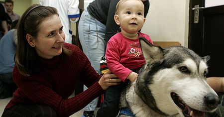 Czworonożni terapeuci