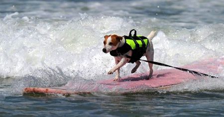Psi surfing