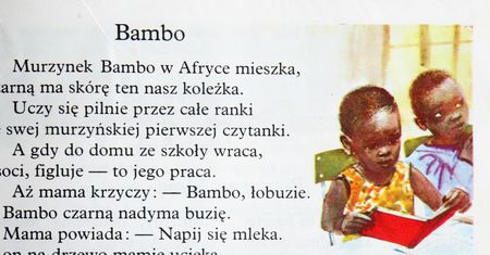 Rada Języka Polskiego oficjalnie odradza używania słowa "Murzyn". Co dalej z "W pustyni i w puszczy?"