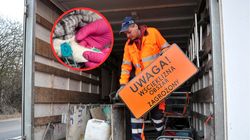 "Przerażająca choroba". Gdy pojawią się objawy, nie można zrobić nic