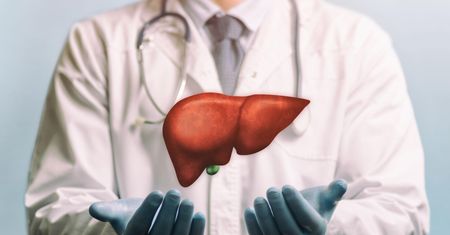 Hepatocyty - budowa, funkcje i charakterystyka komórek wątrobowych