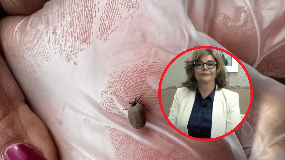 Jak ochronić się przed kleszczami?