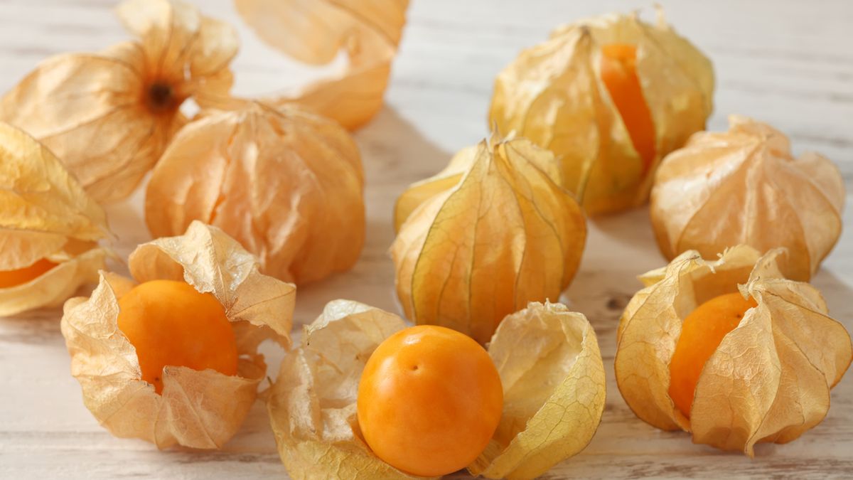 Miechunka to roślina, która obejmuje około 90 gatunków, z czego dla jadalnych owoców uprawiane są trzy.