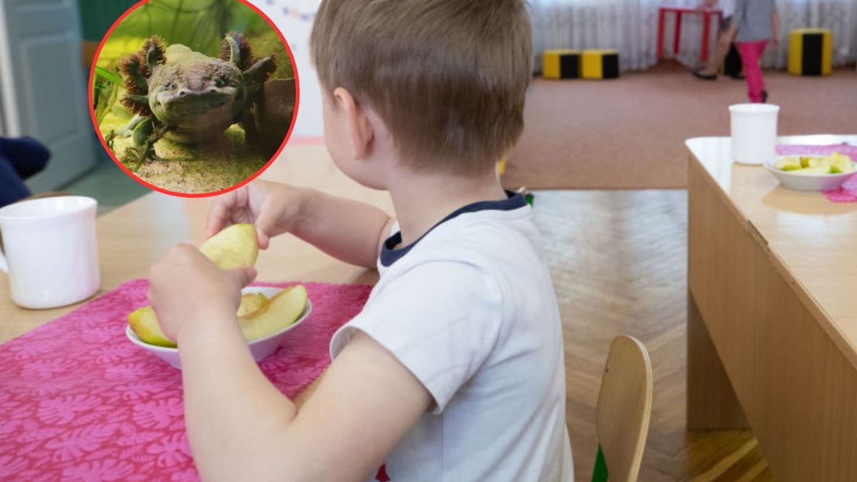 Zdjęcie ilustracyjne