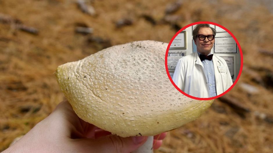 Jak szybko rozpoznać zatrucie grzybem? Liczy się każda minuta