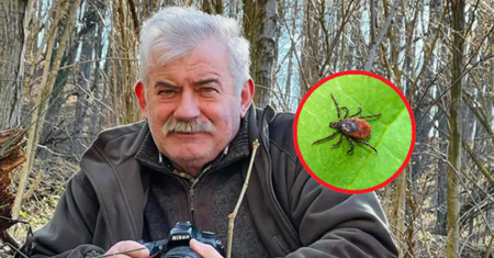 Kleszcze atakują nie tylko w lasach. Najpopularniejszy leśnik w Polsce zdradza, na jakie miejsca uważać