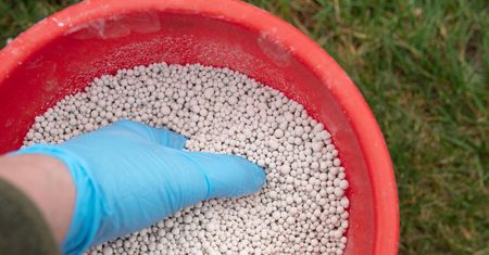 Zacznij już w lutym, by ogród pięknie się prezentował wiosną. Sprawdzony sposób ogrodników