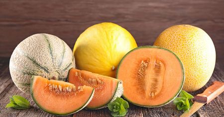 Melon  - pochodzenie i nazwa, właściwości, zastosowanie