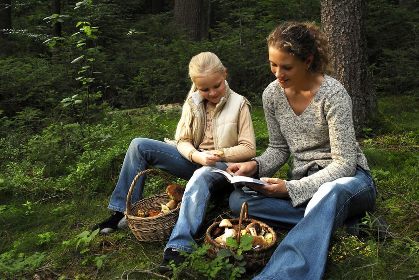Uwaga na grzyby i niemyte jagody. Mogą być groźne dla dzieci