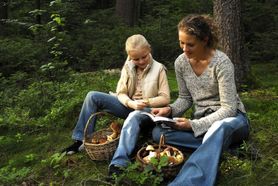 Uwaga na grzyby i niemyte jagody. Mogą być groźne dla dzieci