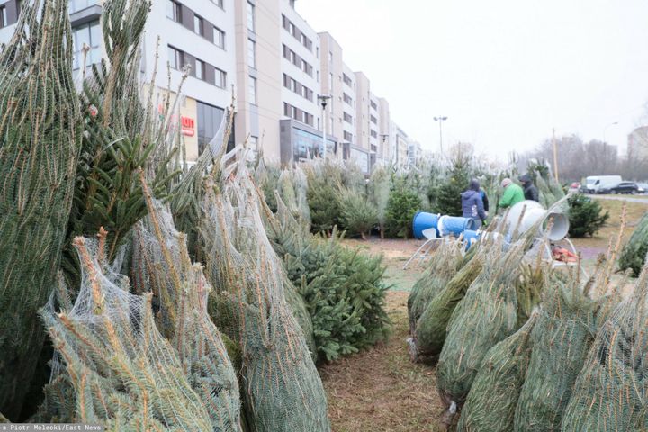 Zakupy świąteczne w dobie pandemii. Czy narażamy się na COVID-19?