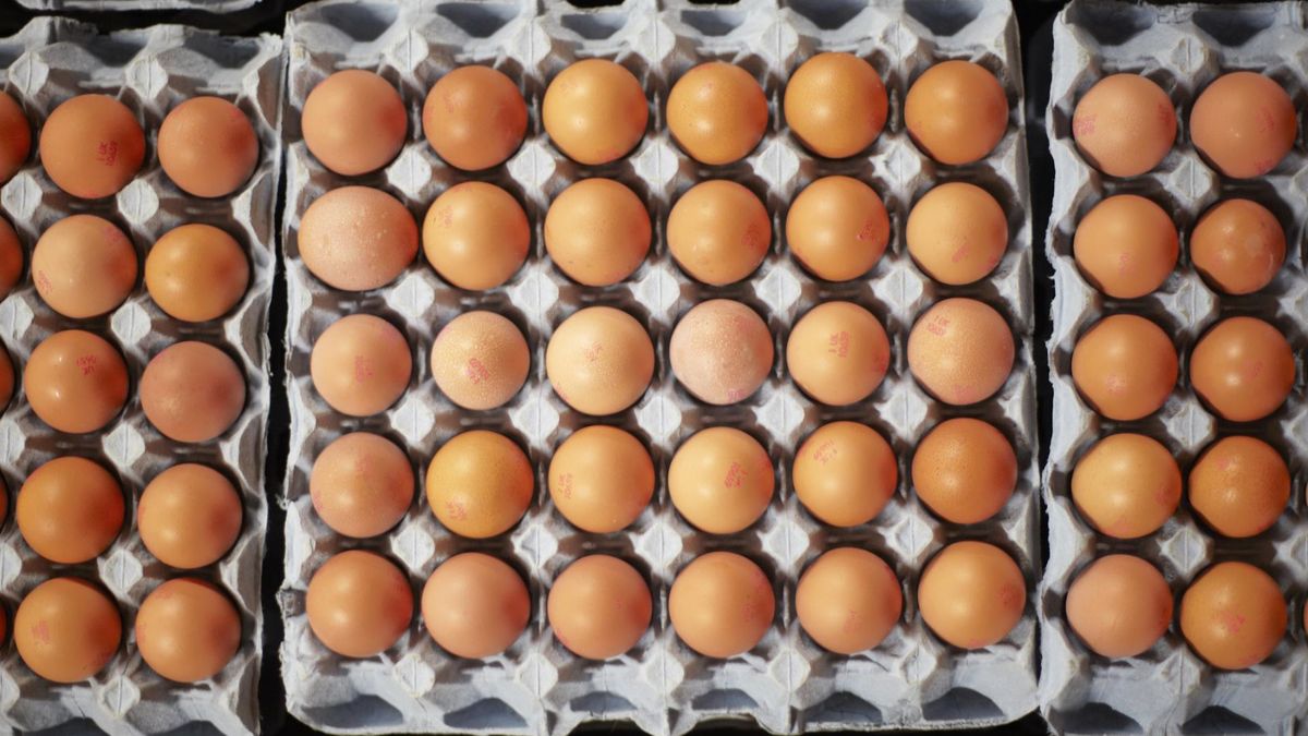 Salmonella na skorupkach jaj. Natychmiast wyrzuć do kosza!