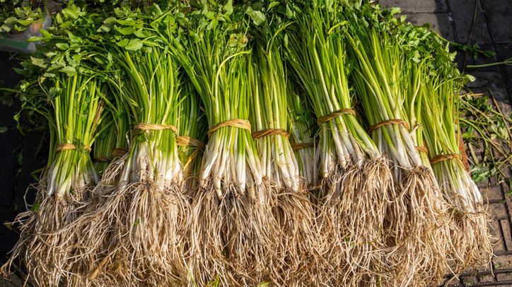 Wymiata rakotwórcze związki. Wykazano, że pomaga w walce z rakiem płuc