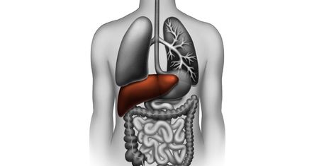 Szmery wątrobowe – przyczyny, objawy, diagnostyka i leczenie