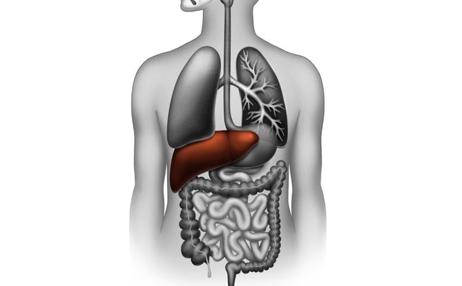 Szmery wątrobowe – przyczyny, objawy, diagnostyka i leczenie