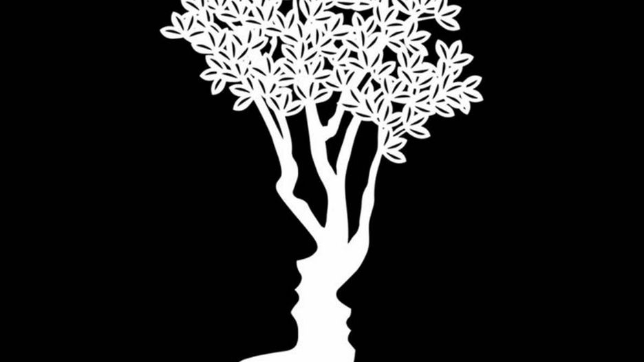 Co najpierw zwróciło twoją uwagę? Odpowiedź pomoze ujawnić mocne strony