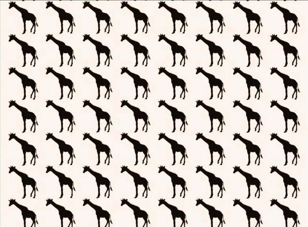 Dwie żyrafy różnią się od pozostałych. Czy wiesz, które są odmieńcami?