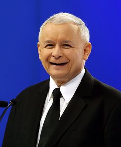 Sondaż WP.PL: PiS przegonił Platformę!