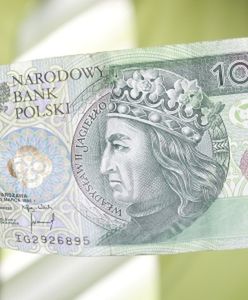 Odczyt WWK bez większego wpływu na złotego