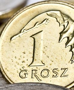 Polska waluta pozostała stabilna