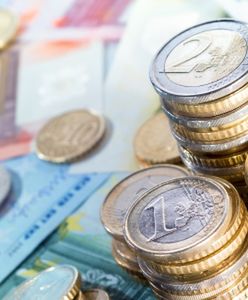 Siła złotego i indeksy PMI ze strefy euro