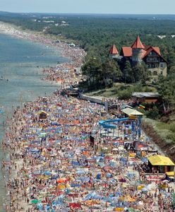 Łeba: wycinka drzew trafiła do prokuratury