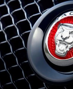 Polska przegrała ze Słowacją bitwę o fabrykę Jaguara