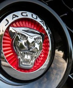 Jaguar Land Rover uruchomi fabrykę w Polsce?