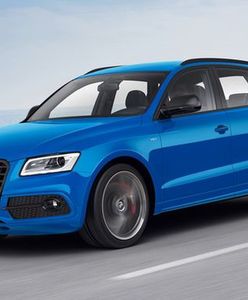 Audi SQ5 TDI plus: mocniejszy i lepiej wyposażony
