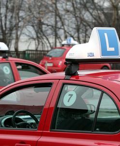 Załatwiali prawa jazdy, usłyszeli zarzuty