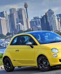 Fiat i Alfa wśród kangurów