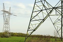 Piechociński: do 2020 r. cena energii powinna spaść o 20 proc.