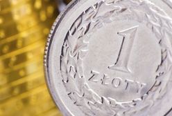 Złoty może się wzmocnić, pomimo braku jasnego komunikatu z Fed