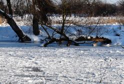 Tyniec: tragiczny wypadek w Wiśle