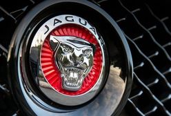 Jaguar Land Rover uruchomi fabrykę w Polsce?