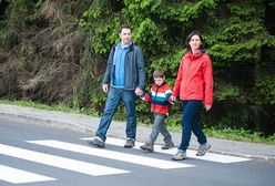 Policja za bezwzględnym pierwszeństwem pieszego na pasach