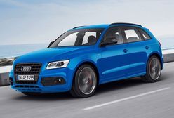 Audi SQ5 TDI plus: mocniejszy i lepiej wyposażony