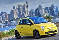 Fiat i Alfa wśród kangurów