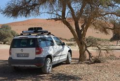 Skoda Yeti: na tropach guźca