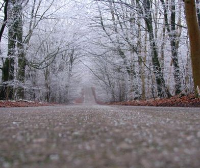 Ciężarówka amerykańskiej armii z pociskami wypadła z krajowej "27" koło Świdnicy