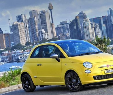 Fiat i Alfa wśród kangurów