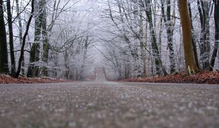 Ciężarówka amerykańskiej armii z pociskami wypadła z krajowej "27" koło Świdnicy