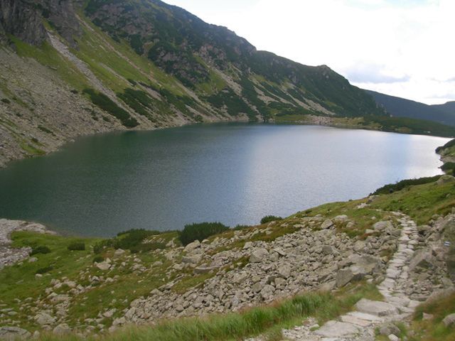 Obraz