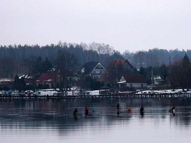 Obraz