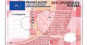 Tak będzie wyglądało nowe prawo jazdy
