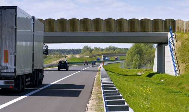 Czesi znaleźli niecodzienny sposób na kierowców ciężarówek
