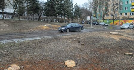 Wypadek podczas wycinki drzew. Nie żyje mężczyzna