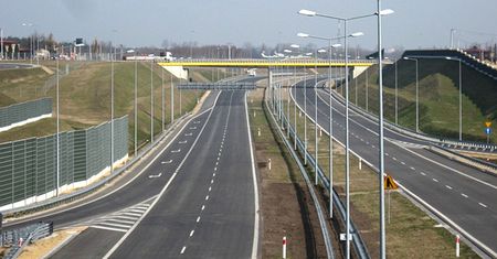 Pleśń stworzyła mapę autostrad w Kanadzie - niezwykły eksperyment